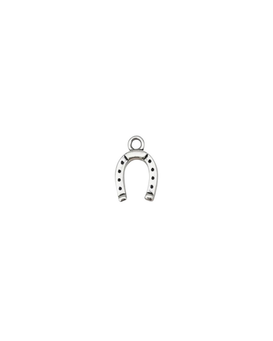 Horseshoe Charm