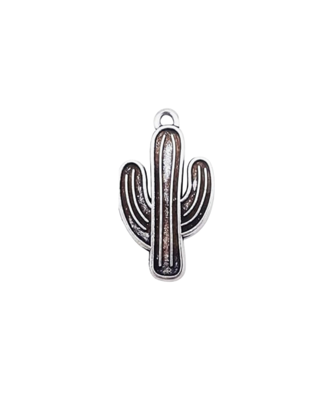 Cactus Charm